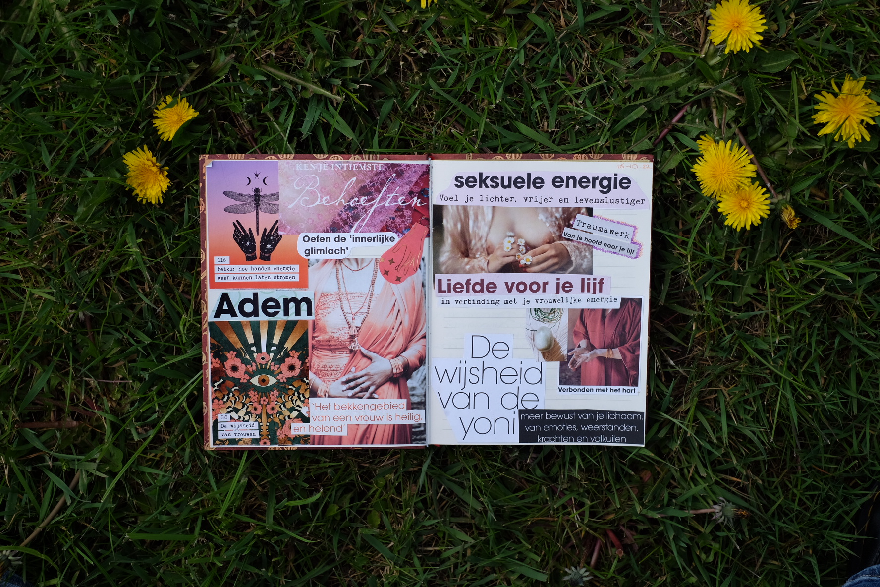 73479AFF-7706-424C-8060-0FCB8B6A7549-61438-0000093C28EFEF08