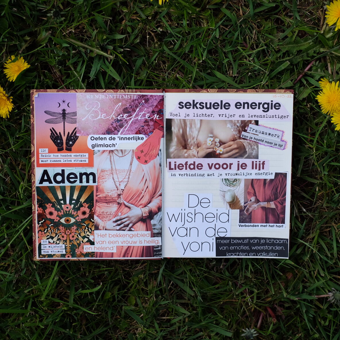 73479AFF-7706-424C-8060-0FCB8B6A7549-61438-0000093C28EFEF08